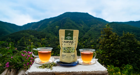 Greek Mountain Tea (Sideritis)