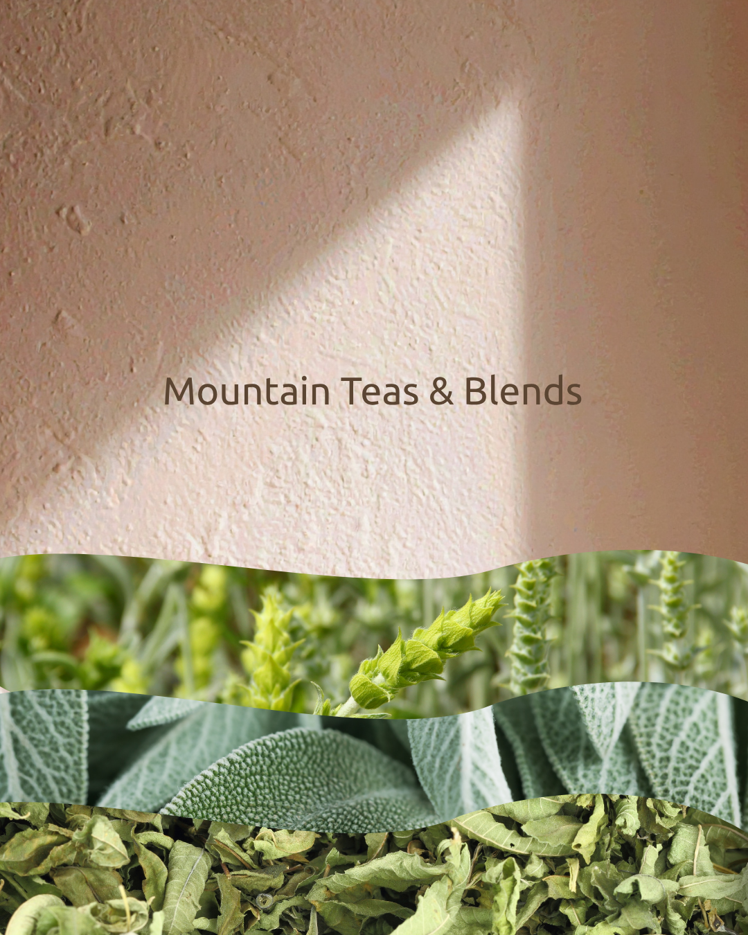 Herbal Teas | Greek Mountain Tea & Blends